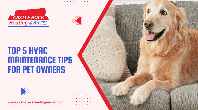 Top 5 HVAC Maintenance Tips for Pet Owners
